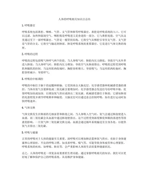 人体的呼吸相关知识点总结
