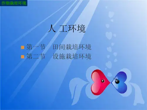 作物栽培环境课件——人工环境