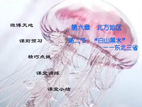东北三省PPT精品课件