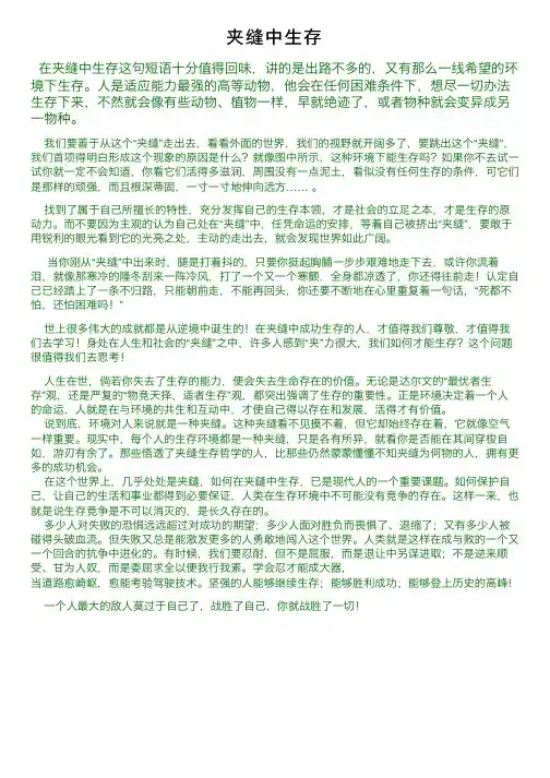 夹缝中生存——精选推荐