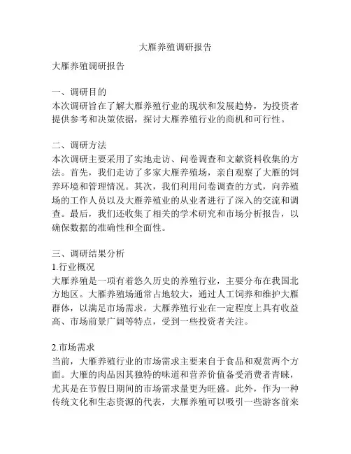 大雁养殖调研报告
