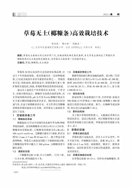 草莓无土(椰糠条)高效栽培技术