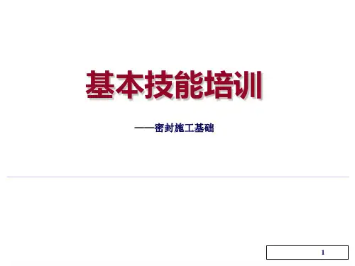 机场基本技能培训课件：密封施工基础