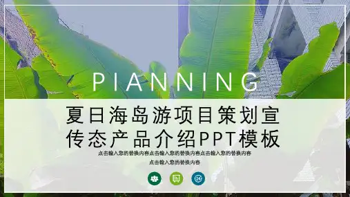 夏日海岛游项目策划宣传动态产品介绍PPT模板