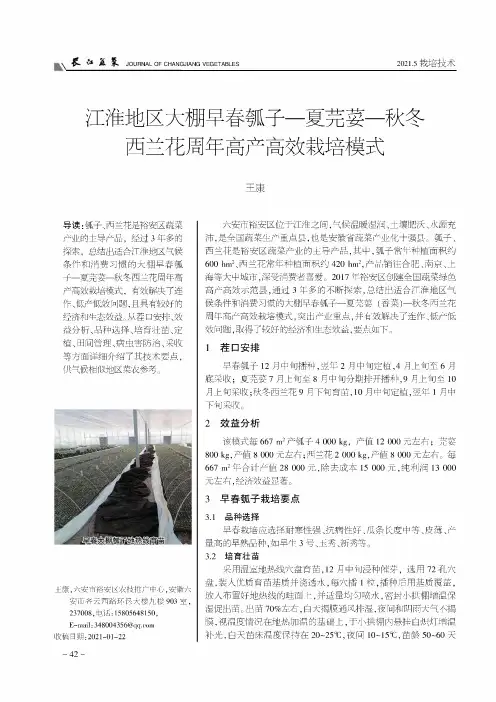 江淮地区大棚早春瓠子-夏芫荽-秋冬西兰花周年高产高效栽培模式