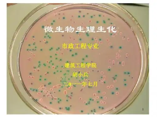 第一章  微生物生理生化概述