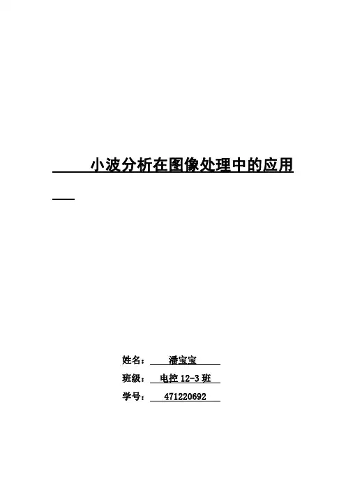 数字信号关于小波应用的论文
