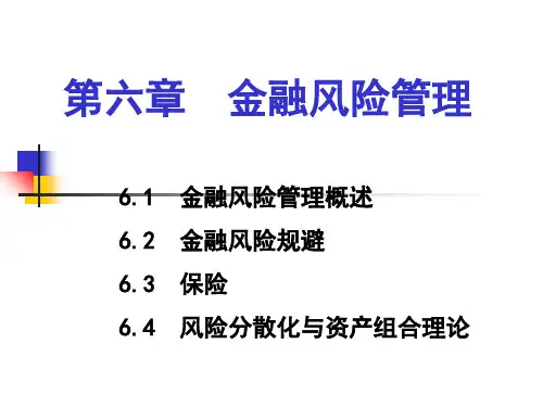 金融学课件-第六章金融风险管理