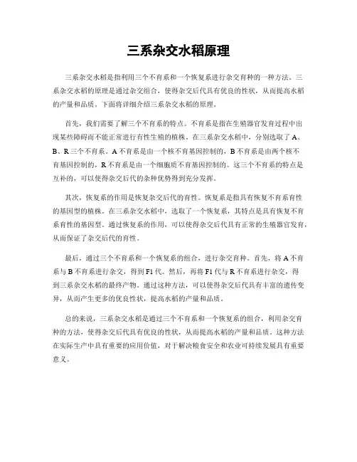 三系杂交水稻原理