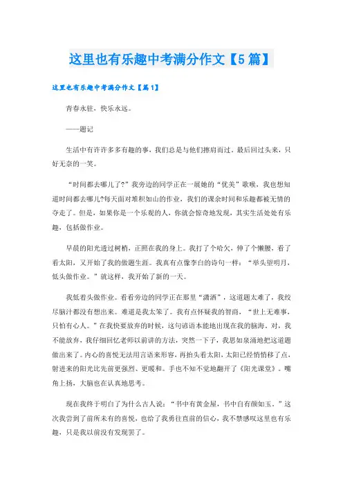 这里也有乐趣中考满分作文【5篇】