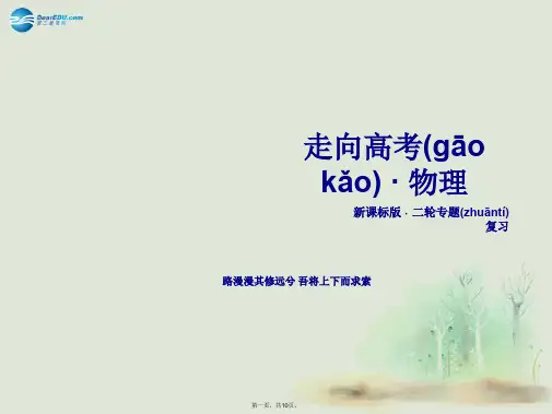 高三物理二轮复习 专题4电场和磁场课件
