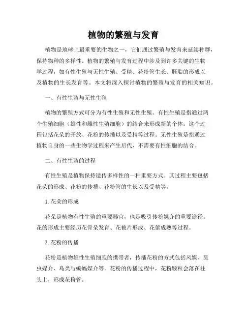 植物的繁殖与发育