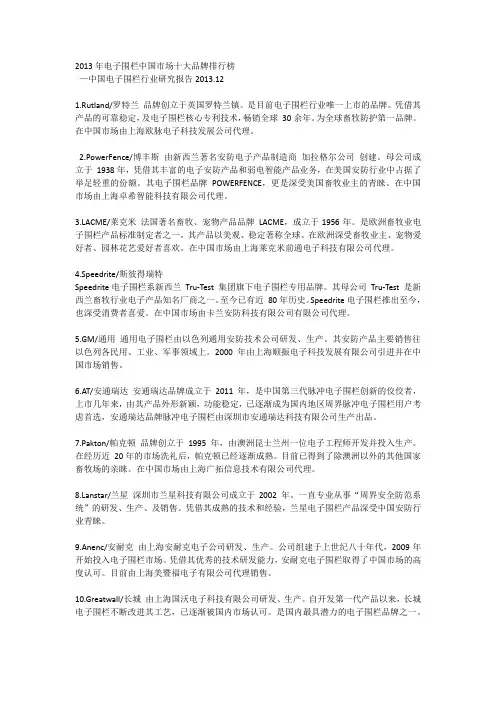 十大安防品牌(2013年)