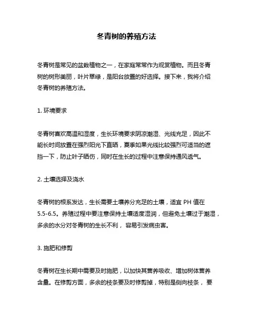 冬青树的养殖方法
