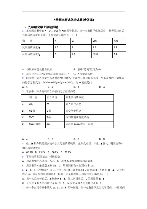 初三化学上册期末测试化学试题(含答案)