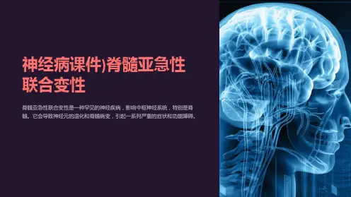 神经病课件)脊髓亚急性联合变性