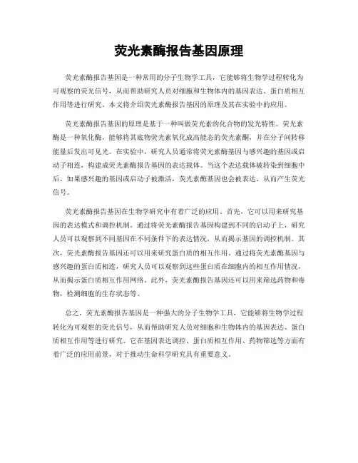 荧光素酶报告基因原理