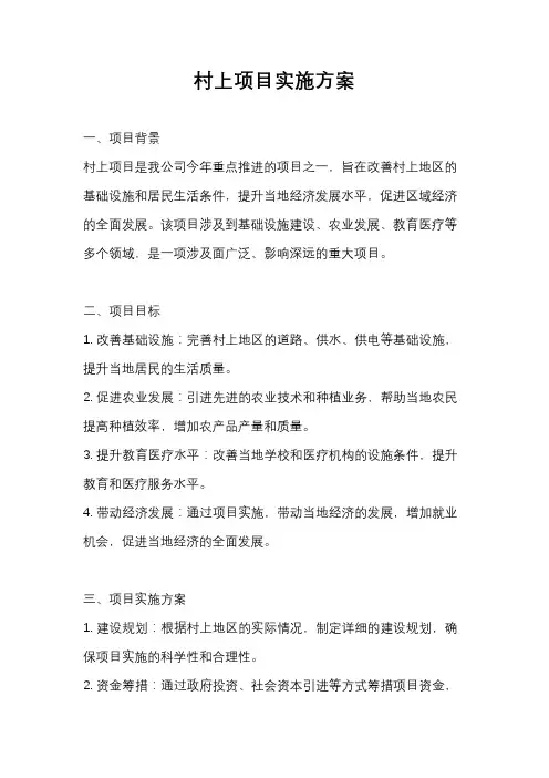 村上项目实施方案