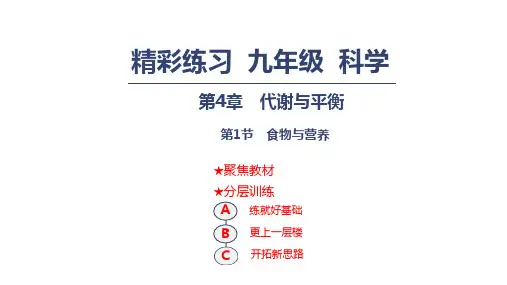 浙教版九年级上册科学课件：4.1食物与营养 (共13张PPT)