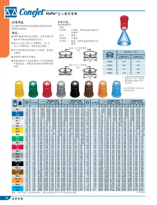 ConeJet VisiFlo 空心锥形喷嘴 说明书