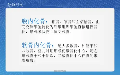 骨骺损伤分型课件