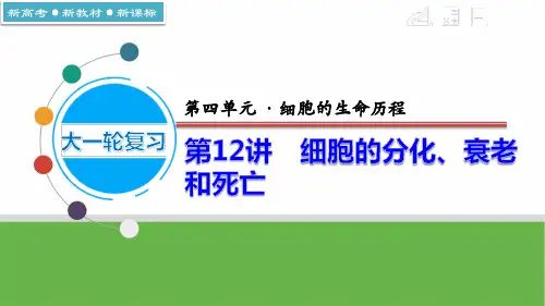 细胞的分化、衰老和死亡-高考生物大一轮单元复习(新教材新高考)
