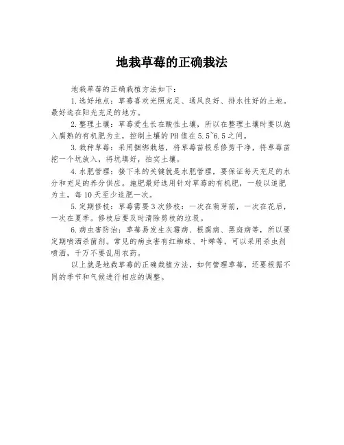 地栽草莓的正确栽法