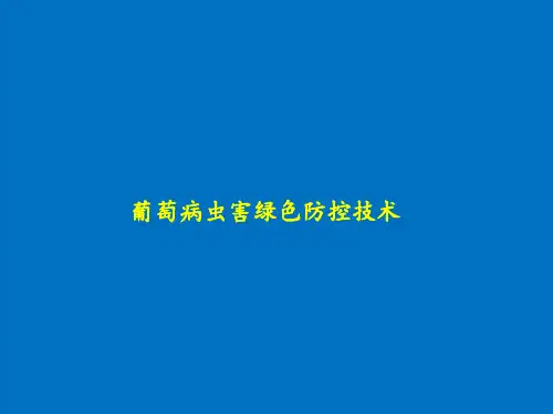 葡萄病虫害绿色防控技术课件