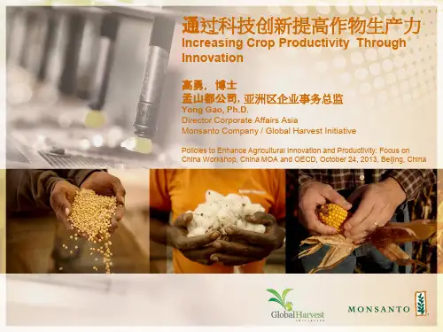 通过科技创新提高作物生产力-OECD