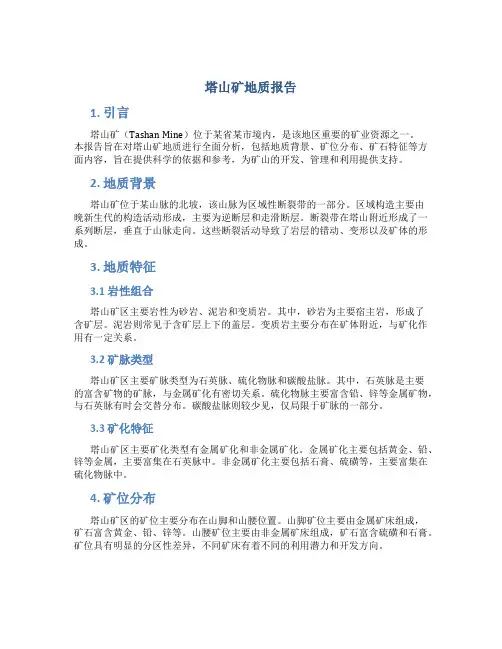 塔山矿地质报告