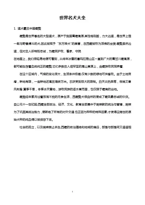 世界名犬大全12837