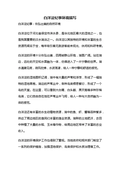 白洋淀纪事环境描写