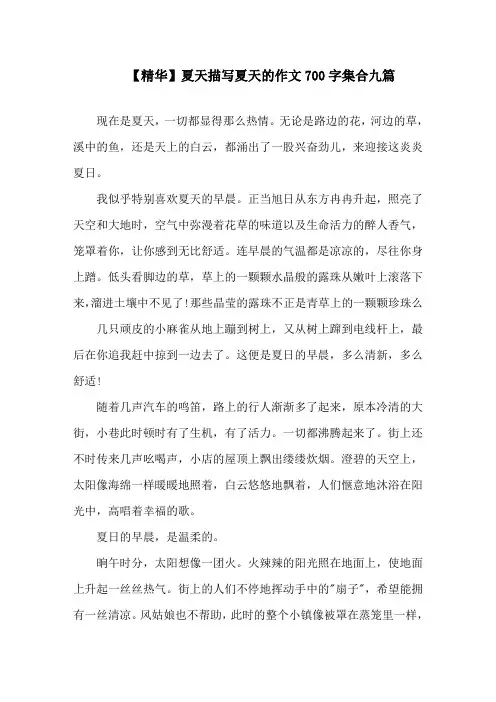 夏天描写夏天的作文700字集合九篇范文精选
