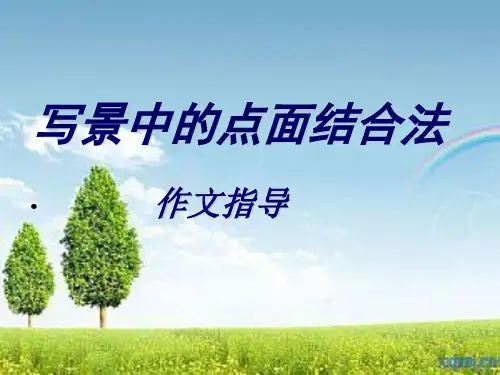 写景中的点面结合【精选】