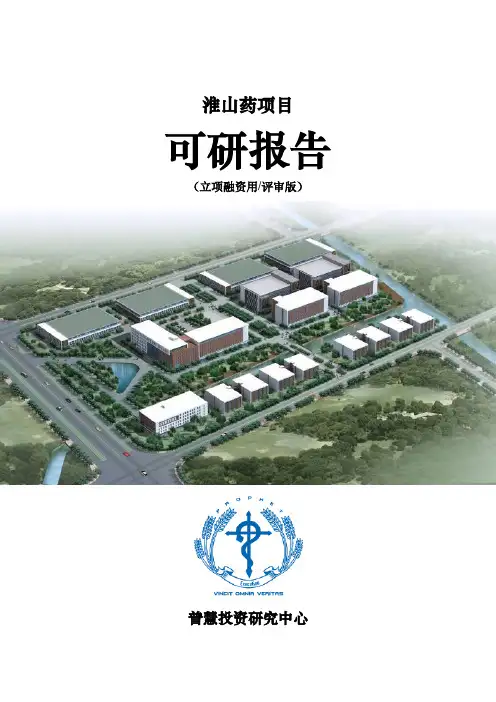 淮山药项目可研报告立项融资用(评审版)