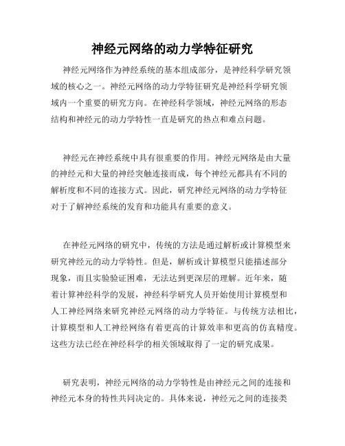 神经元网络的动力学特征研究