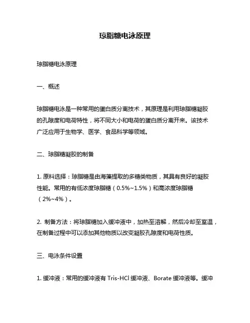 琼脂糖电泳原理