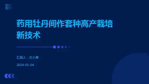 药用牡丹间作套种高产栽培新技术
