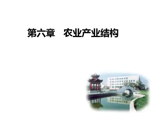 第六章  农业产业结构
