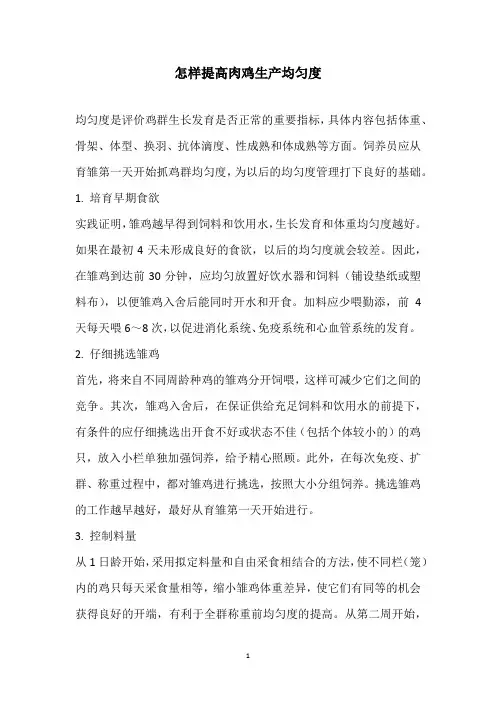 怎样提高肉鸡生产均匀度