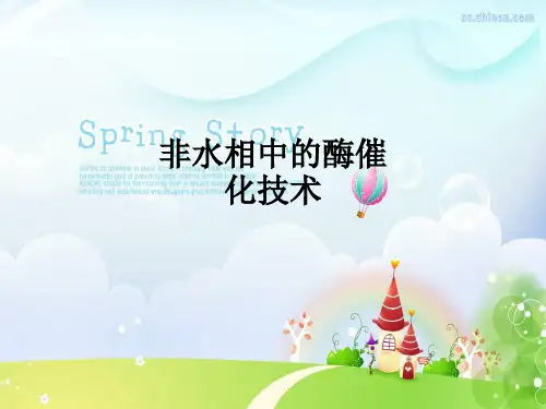非水相中的酶催化技术ppt课件