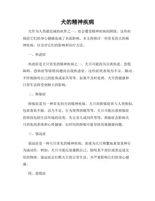 犬的精神疾病