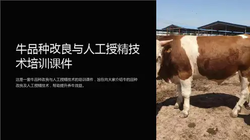 牛品种改良与人工授精技术培训课件