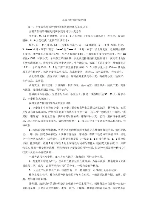 小麦是什么时候收割