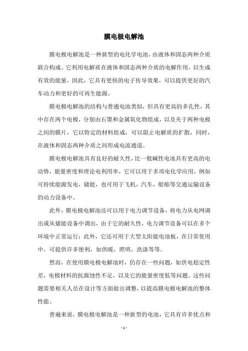 膜电极电解池