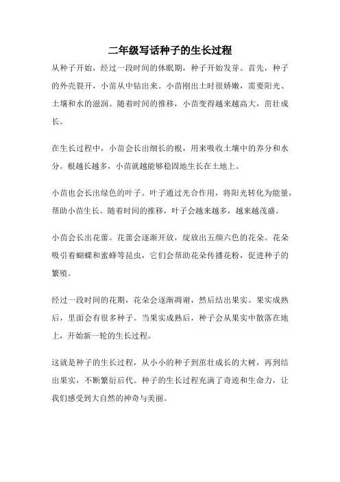 二年级写话种子的生长过程