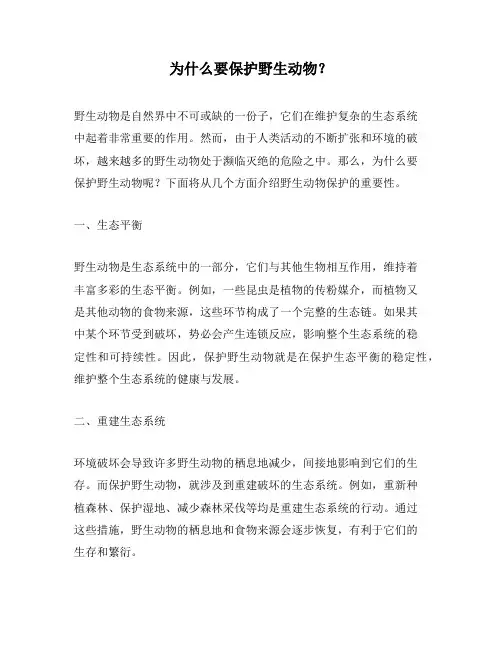 为什么要保护野生动物？