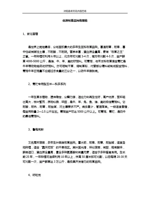 优质牧草品种有哪些