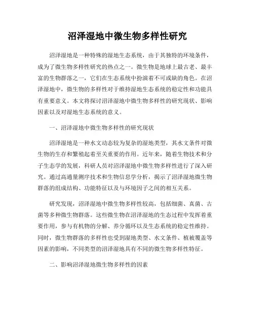 沼泽湿地中微生物多样性研究