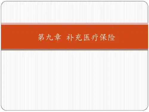第十篇-补充医疗保险